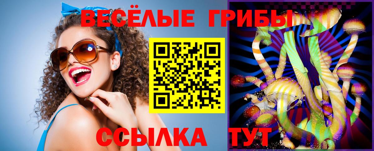 Псилоцибиновые грибы GOLDEN TEACHER Зима