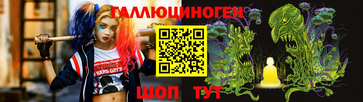 Галлюциногенные грибы GOLDEN TEACHER  Галлюциногенные грибы GOLDEN TEACHER  где купить   Вход с VPN  Зима 